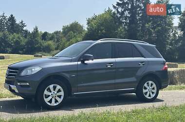Mercedes-Benz M-Class 2011 Mercedes-Benz M-Class 2011