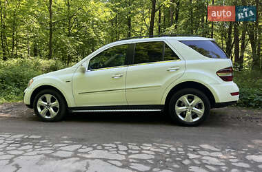 Внедорожник / Кроссовер Mercedes-Benz M-Class 2008 в 