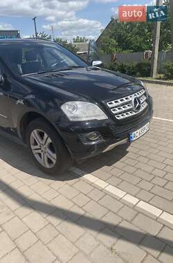 Mercedes-Benz M-Class 2010 Mercedes-Benz M-Class 2010