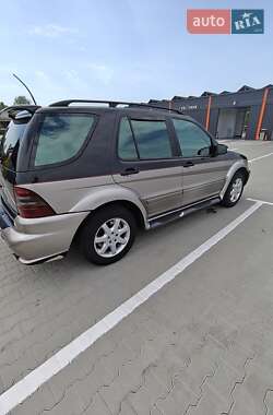 Внедорожник / Кроссовер Mercedes-Benz M-Class 2002 в 