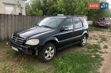 Внедорожник / Кроссовер Mercedes-Benz M-Class 2002 в 