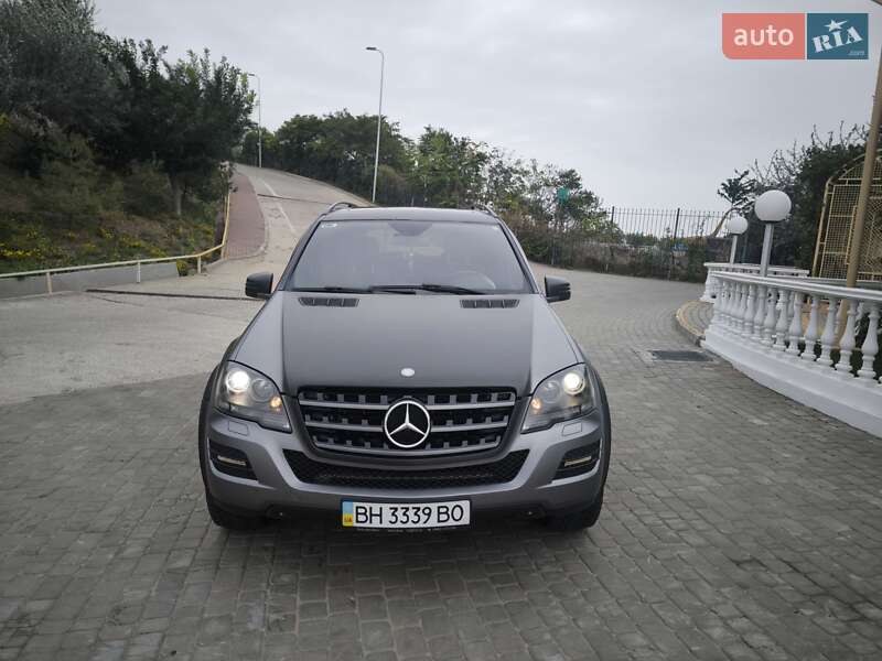 Mercedes-Benz M-Class 2010 Mercedes-Benz M-Class 2010