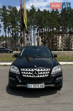 Mercedes-Benz M-Class 2010 Mercedes-Benz M-Class 2010