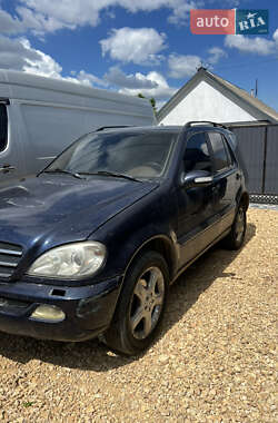 Внедорожник / Кроссовер Mercedes-Benz M-Class 2001 в 