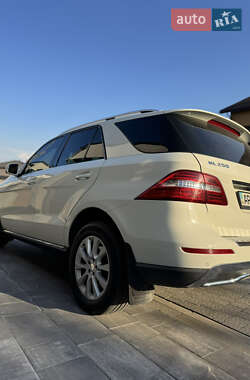 Позашляховик / Кросовер Mercedes-Benz M-Class 2013 в 
