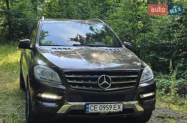 Mercedes-Benz M-Class 2011 Mercedes-Benz M-Class 2011