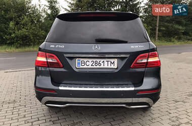 Внедорожник / Кроссовер Mercedes-Benz M-Class 2014 в 