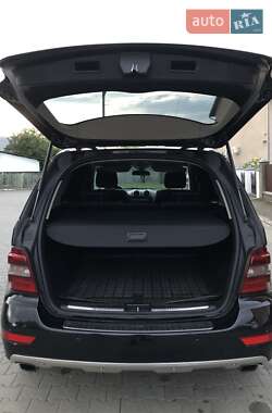 Внедорожник / Кроссовер Mercedes-Benz M-Class 2008 в 