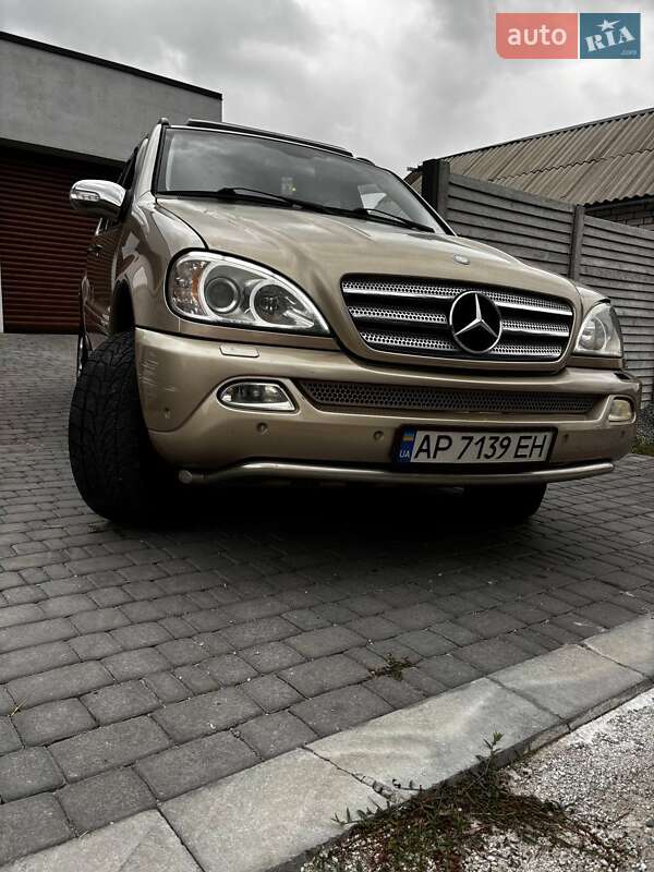Внедорожник / Кроссовер Mercedes-Benz M-Class 2004 в Запорожье фото 16 Внедорожник / Кроссовер Mercedes-Benz M-Class 2004 в Запорожье