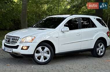 Mercedes-Benz M-Class 2009 Mercedes-Benz M-Class 2009