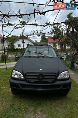 Внедорожник / Кроссовер Mercedes-Benz M-Class 2003 в 