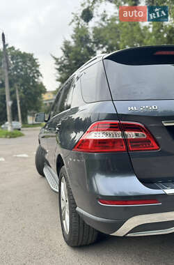 Внедорожник / Кроссовер Mercedes-Benz M-Class 2014 в 