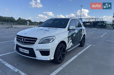 Mercedes-Benz M-Class 2013 Mercedes-Benz M-Class 2013
