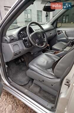 Позашляховик / Кросовер Mercedes-Benz M-Class 1998 в 