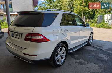 Внедорожник / Кроссовер Mercedes-Benz M-Class 2013 в 