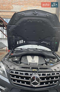 Внедорожник / Кроссовер Mercedes-Benz M-Class 2013 в 