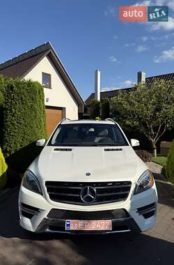 Mercedes-Benz M-Class 2013 Mercedes-Benz M-Class 2013