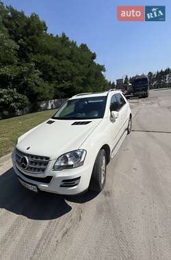 Mercedes-Benz M-Class 2010 Mercedes-Benz M-Class 2010