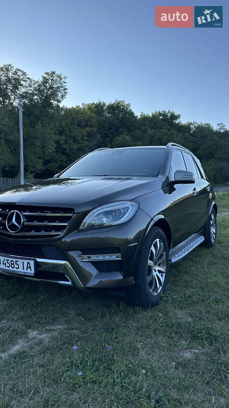 Внедорожник / Кроссовер Mercedes-Benz M-Class 2014 в Виноградове