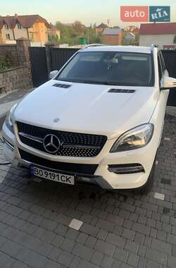 Mercedes-Benz M-Class 2014 Mercedes-Benz M-Class 2014