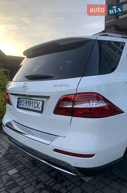 Внедорожник / Кроссовер Mercedes-Benz M-Class 2014 в 