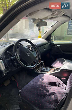 Внедорожник / Кроссовер Mercedes-Benz M-Class 2002 в 