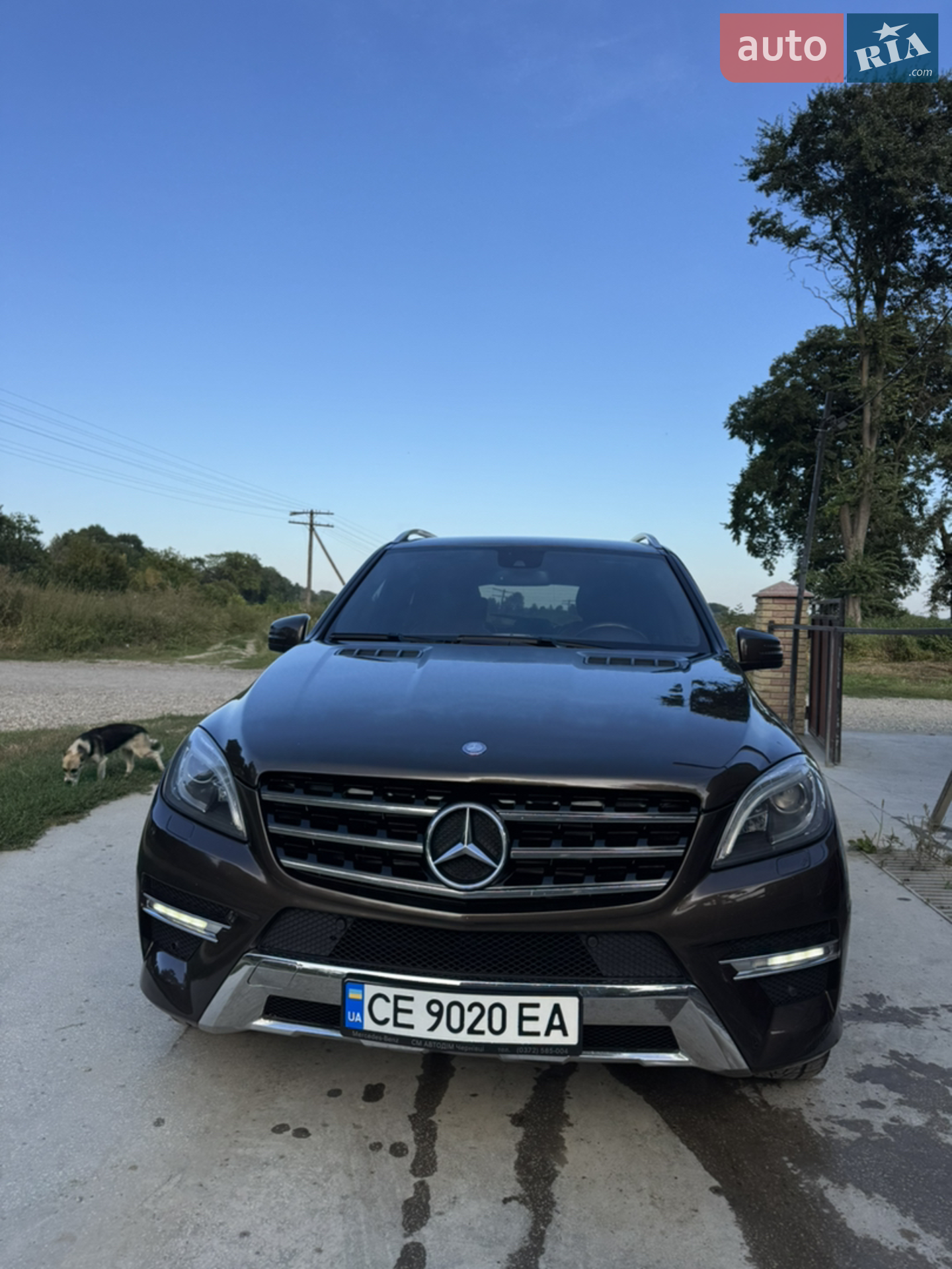 2012 Mercedes-Benz M-klasse - мініатюра 5