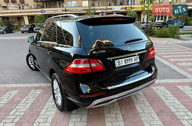Позашляховик / Кросовер Mercedes-Benz M-Class 2013 в 