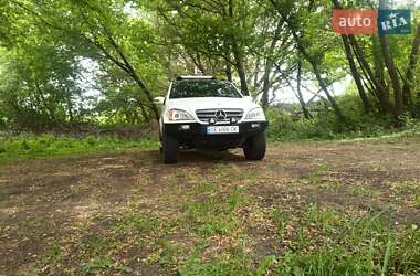 Позашляховик / Кросовер Mercedes-Benz M-Class 2002 в 