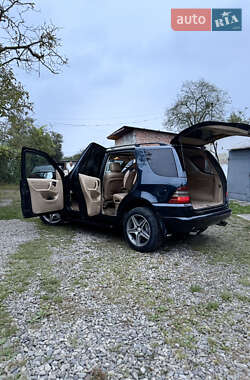 Позашляховик / Кросовер Mercedes-Benz M-Class 1999 в 