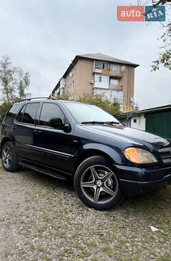 Позашляховик / Кросовер Mercedes-Benz M-Class 1999 в 
