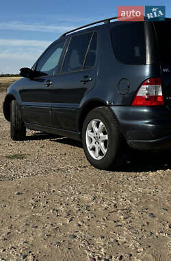 Внедорожник / Кроссовер Mercedes-Benz M-Class 2002 в 