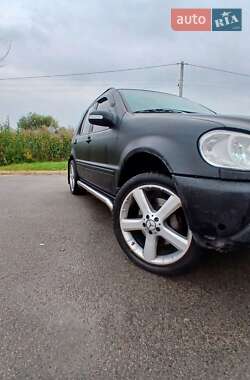 Внедорожник / Кроссовер Mercedes-Benz M-Class 2003 в 