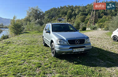 Внедорожник / Кроссовер Mercedes-Benz M-Class 2002 в 