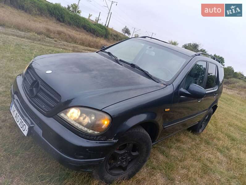 Позашляховик / Кросовер Mercedes-Benz M-Class 2001 в Смілі
