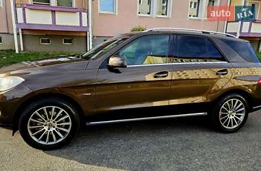 Mercedes-Benz M-Class 2011 Mercedes-Benz M-Class 2011