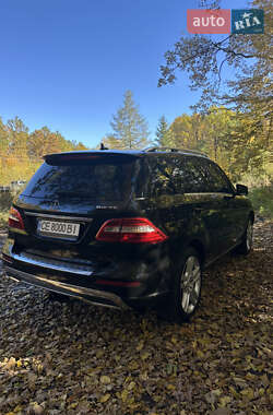 Внедорожник / Кроссовер Mercedes-Benz M-Class 2013 в 