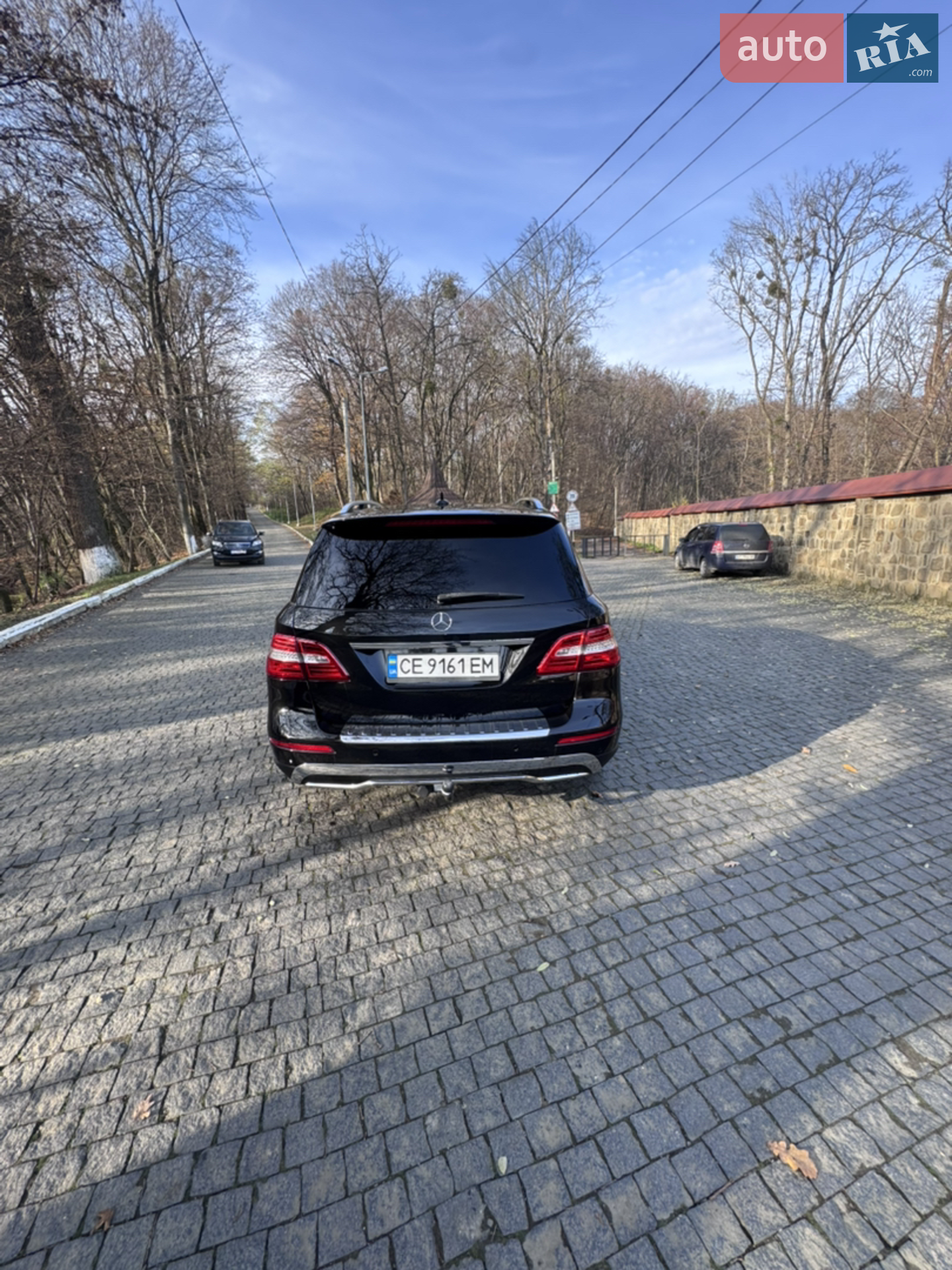 2013 Mercedes-Benz M-klasse - мініатюра 5