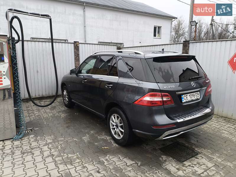 Позашляховик / Кросовер Mercedes-Benz M-Class 2011 в Чернівцях фото 4 Позашляховик / Кросовер Mercedes-Benz M-Class 2011 в Чернівцях