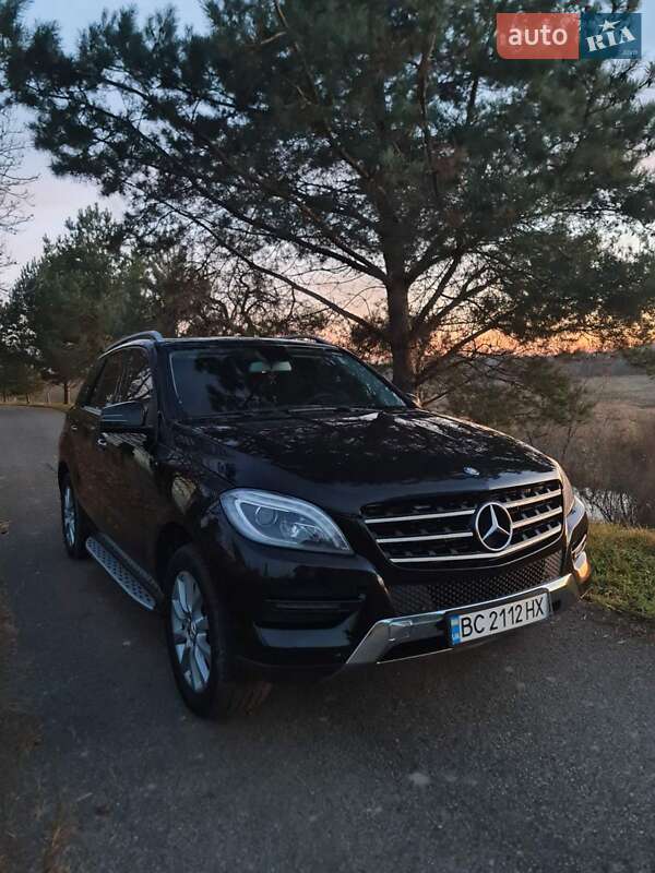 Mercedes-Benz M-Class 2013 Mercedes-Benz M-Class 2013