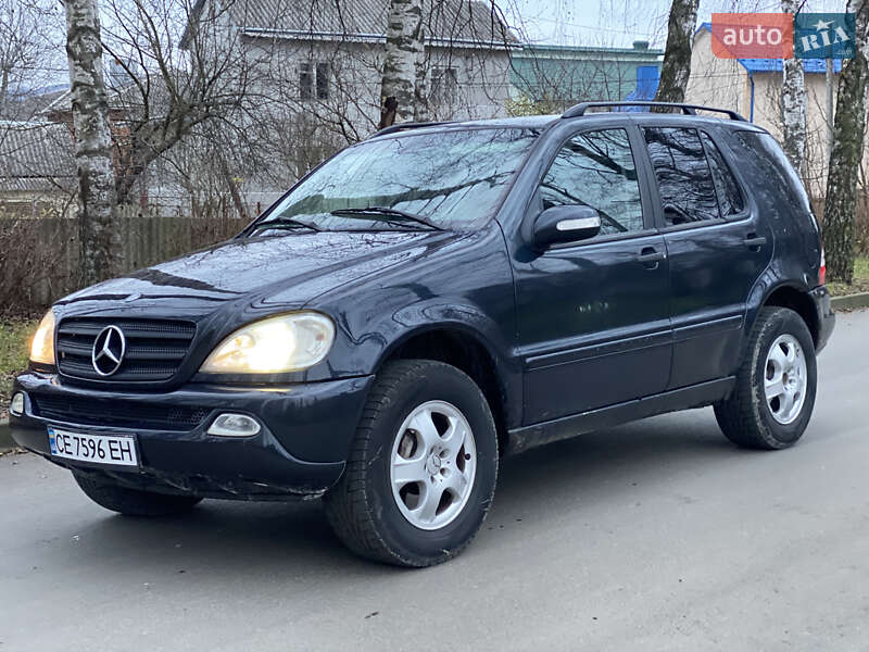Mercedes-Benz M-Class 2002 Mercedes-Benz M-Class 2002
