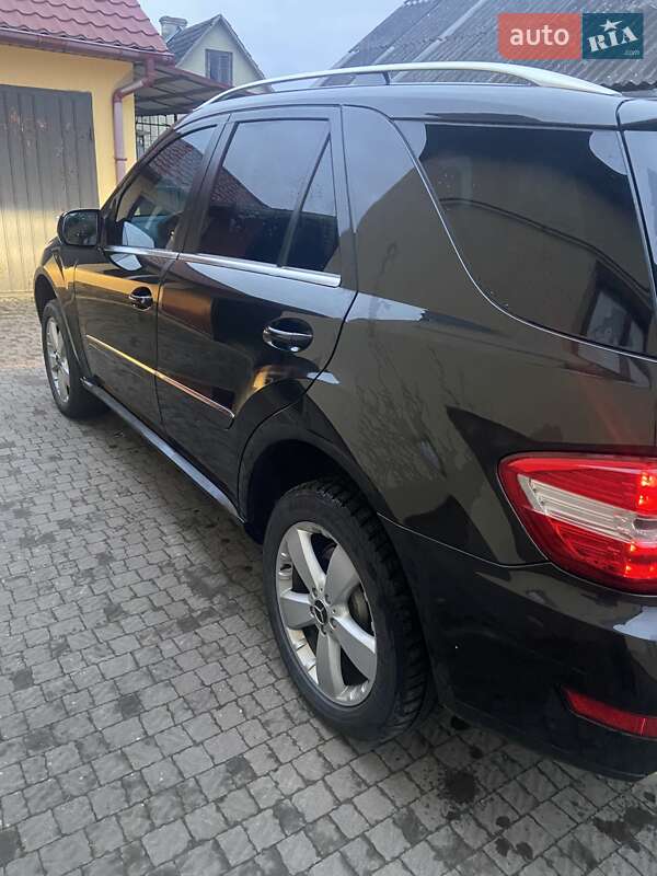 Внедорожник / Кроссовер Mercedes-Benz M-Class 2009 в Жидачове фото 10 Внедорожник / Кроссовер Mercedes-Benz M-Class 2009 в Жидачове