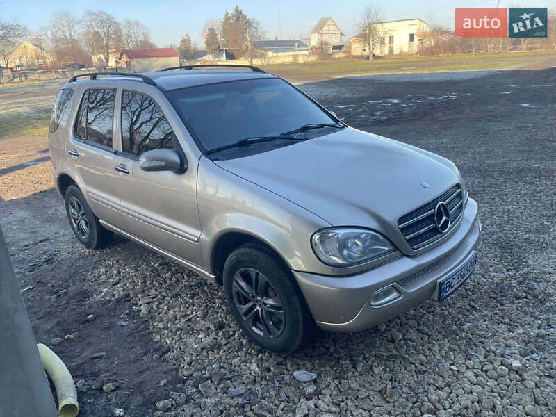 Mercedes-Benz M-Class 2002 Mercedes-Benz M-Class 2002