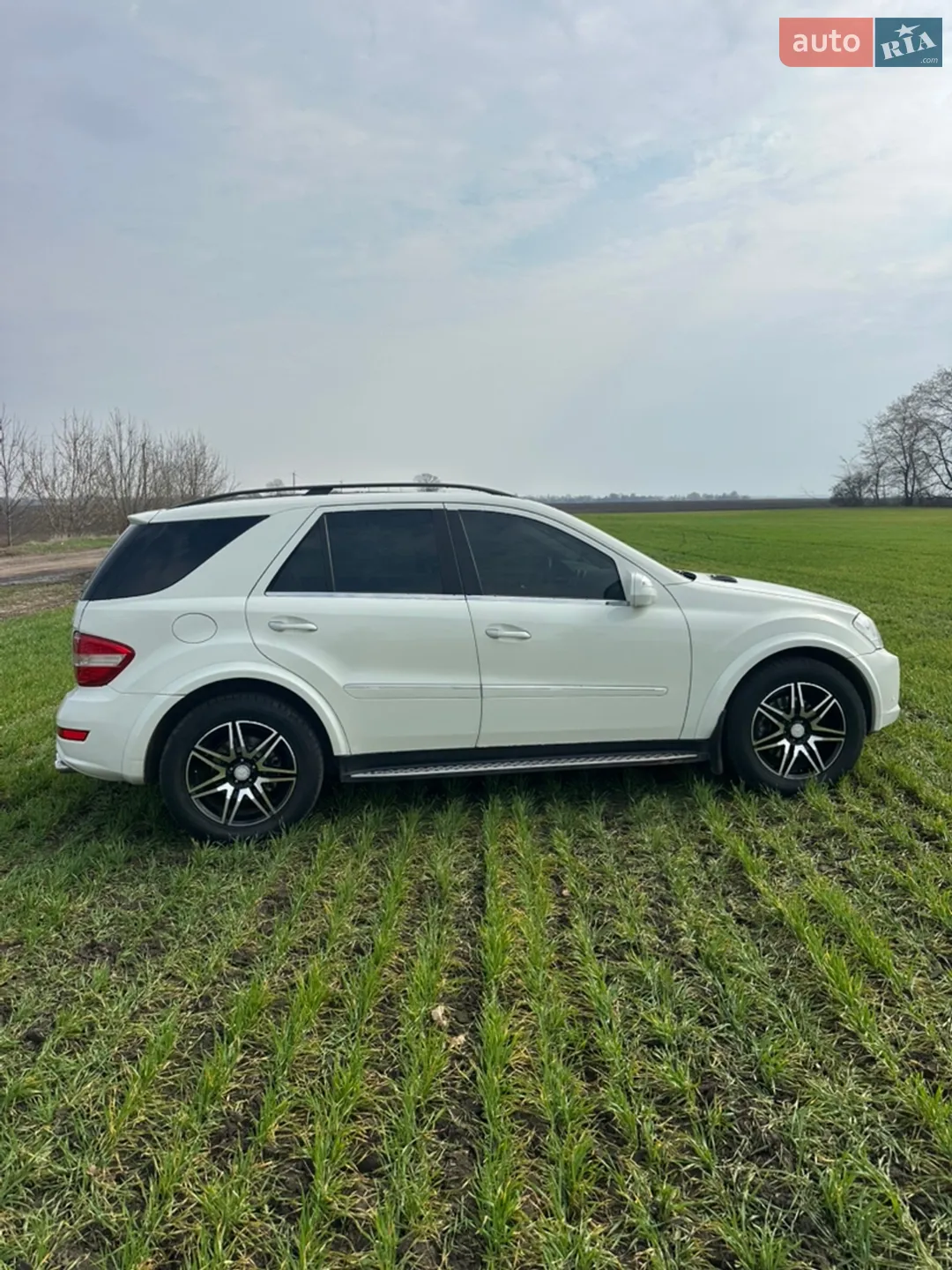 2010 Mercedes-Benz M-klasse - мініатюра 4