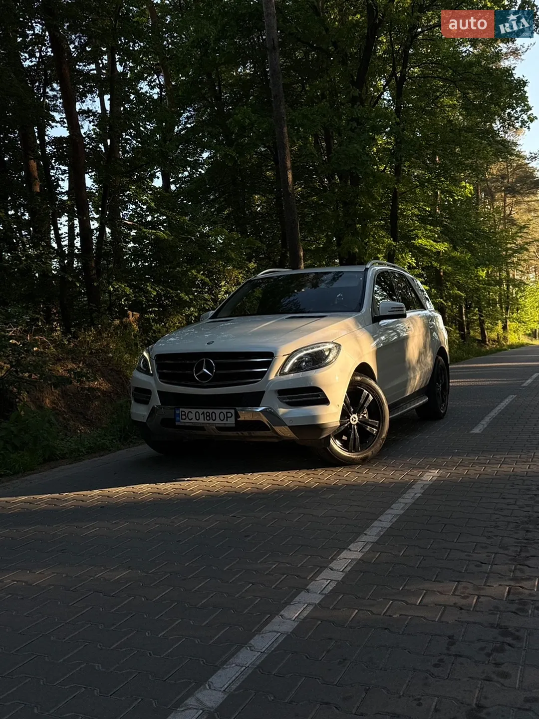 2013 Mercedes-Benz M-klasse - мініатюра 3