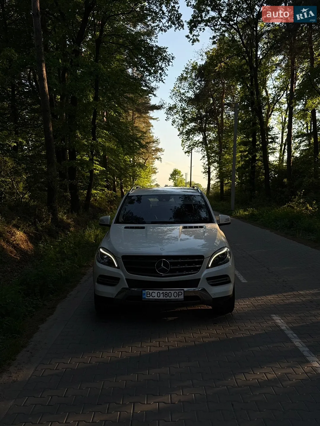 2013 Mercedes-Benz M-klasse - мініатюра 8
