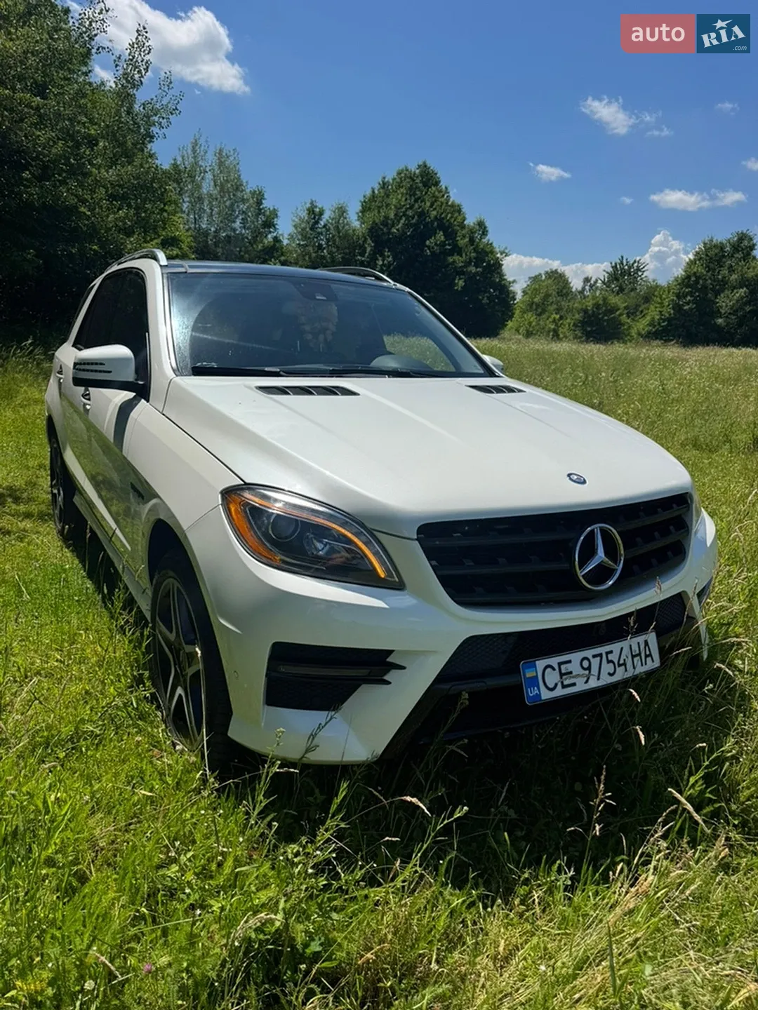 2015 Mercedes-Benz M-klasse - мініатюра 3