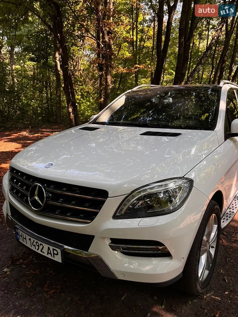 2014 Mercedes-Benz M-klasse - мініатюра 2