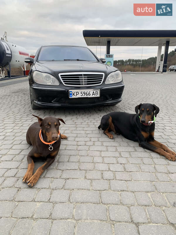 Седан Mercedes-Benz S-Class 2002 в Николаеве