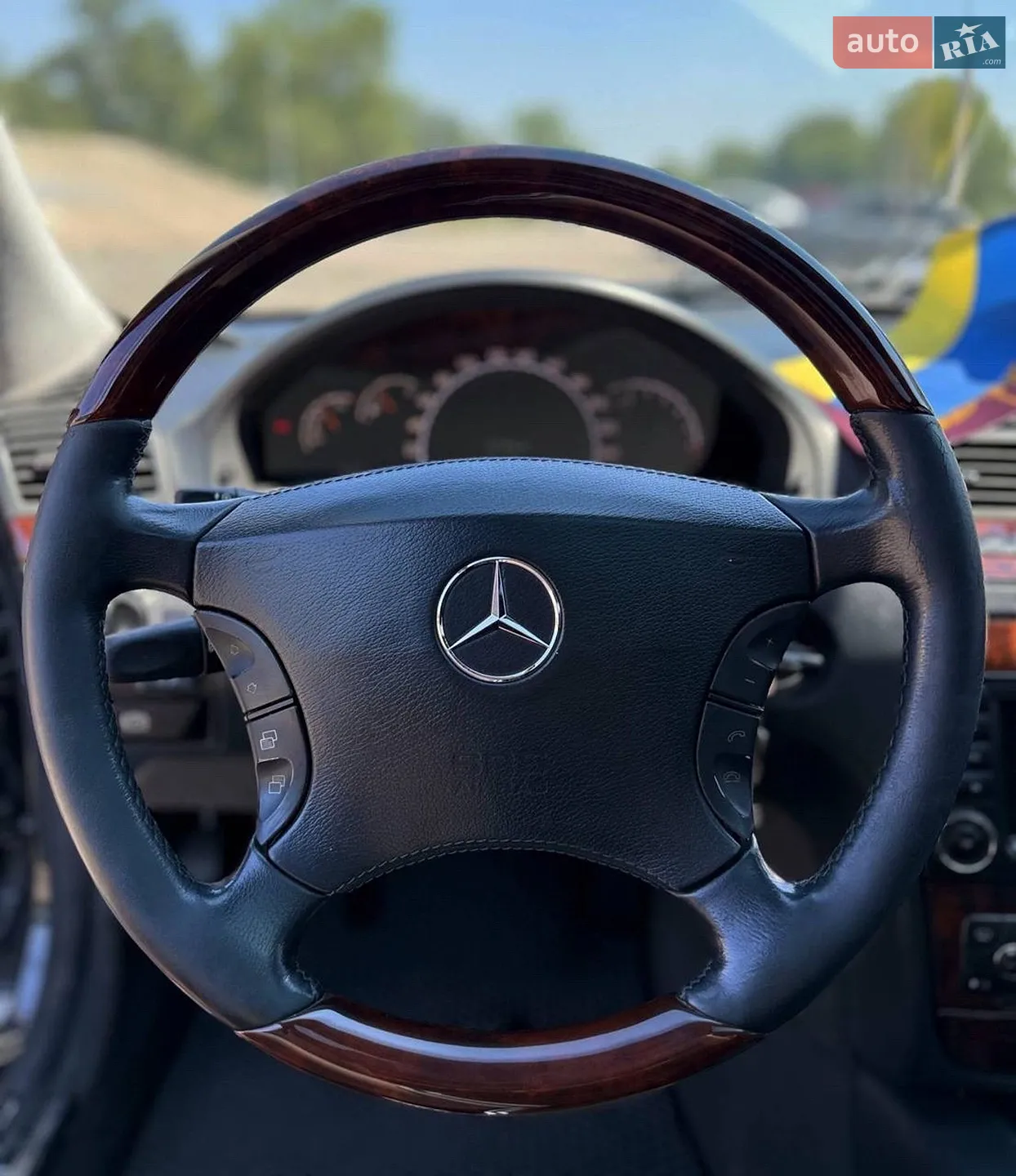 Mercedes-Benz S-Class 2003 VIN WDB2201751A353523 фото оголошення 12 з 29